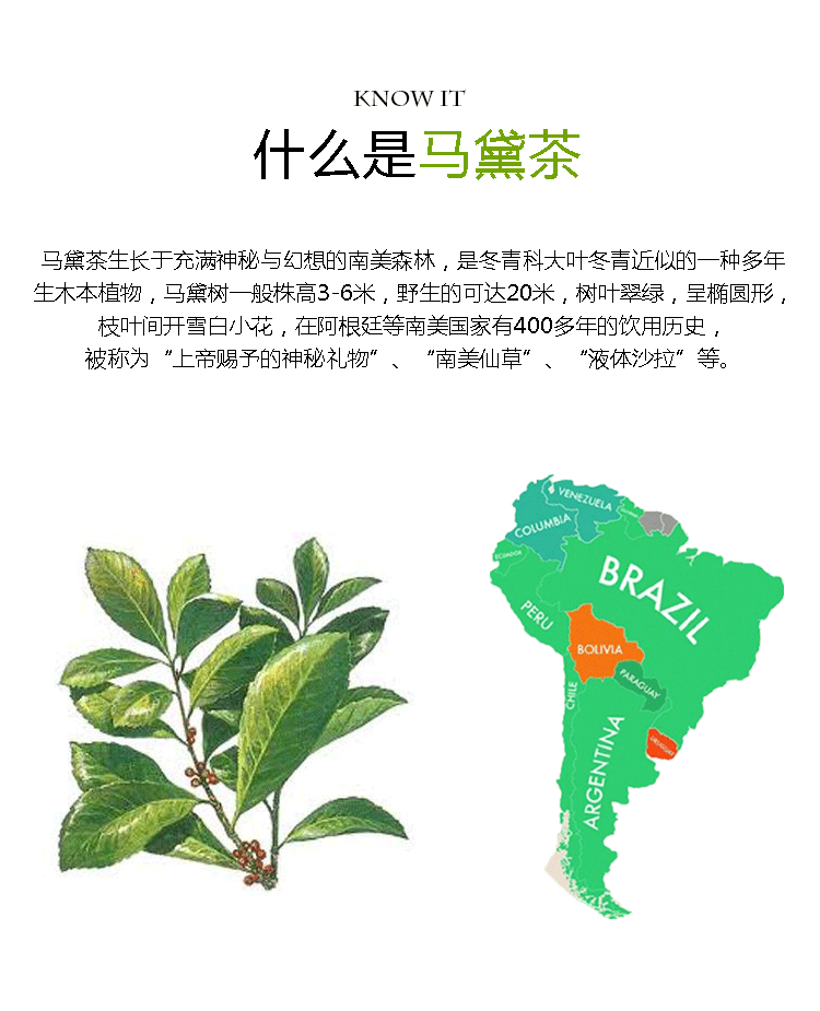 茶饮光年 清甜马黛茶 3gx10袋