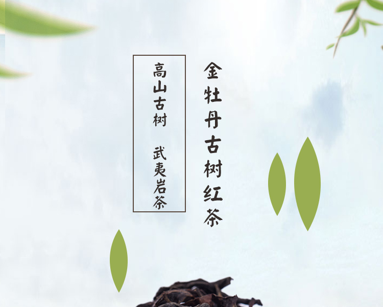 金牡丹古树一级红茶秋茶 500g