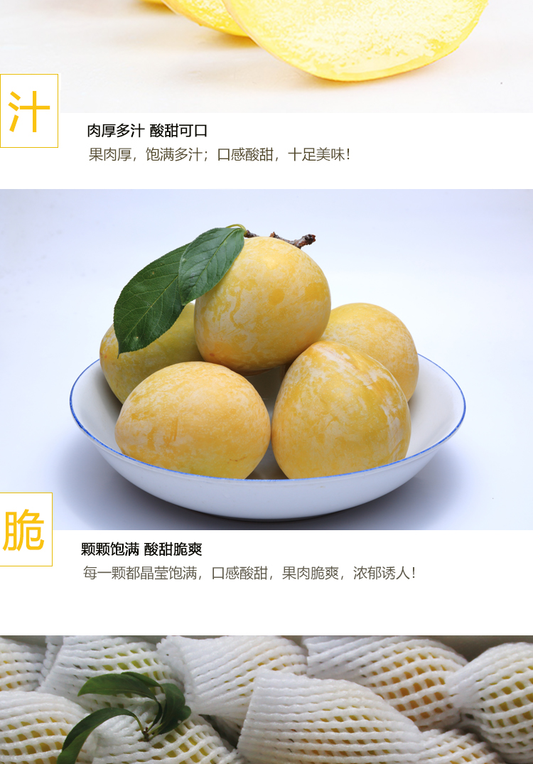 汝城县 黄金奈李2.5kg