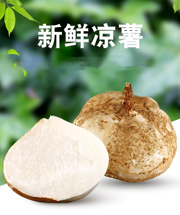 广东省英德下太新鲜凉薯5斤装