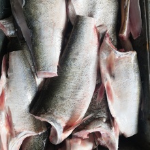 白鲢鱼中段 45kg