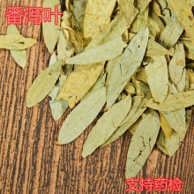 优质番泻叶1000g