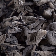 伊春市 新昊森林 秋木耳250g