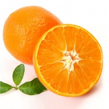 泰淼 石门柑橘4.5kg