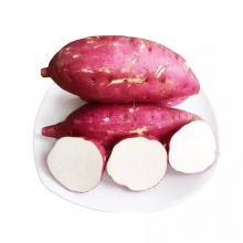 禹州特产 禹州板栗红薯 2.5kg