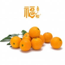 永兴特产 十八福 冰糖橙10斤装 65mm以上大果橙子