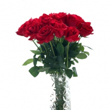 亿朵 优级红色玫瑰花卡罗拉 鲜花花束