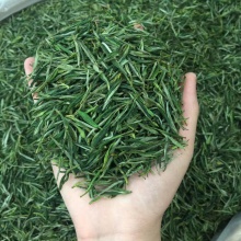2019年新茶 黄山毛峰 野茶特级耐泡浓香型 安徽绿茶 500g