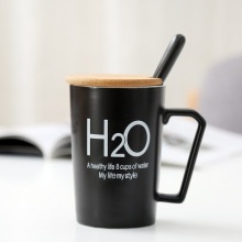 高款黑色H2O+竹盖+专属勺