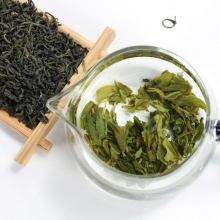 萌露茶叶 松阳绿茶香茶 500g