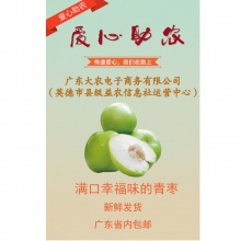 英德台湾蜜丝枣10斤中果