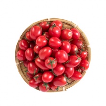 广东英德水边镇流寨村新鲜圣女果小番茄5斤