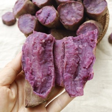 英德市英红镇虎迳紫薯5斤/箱
